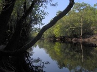 Canoochee River