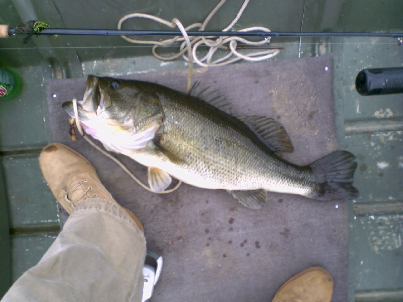 10lb LMB