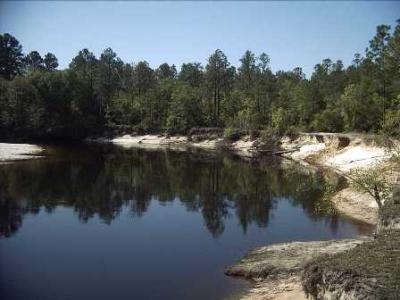 Alapaha River