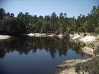 Alapaha River